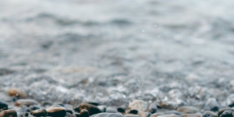 A path of smooth stones leading towards a calm body of water.